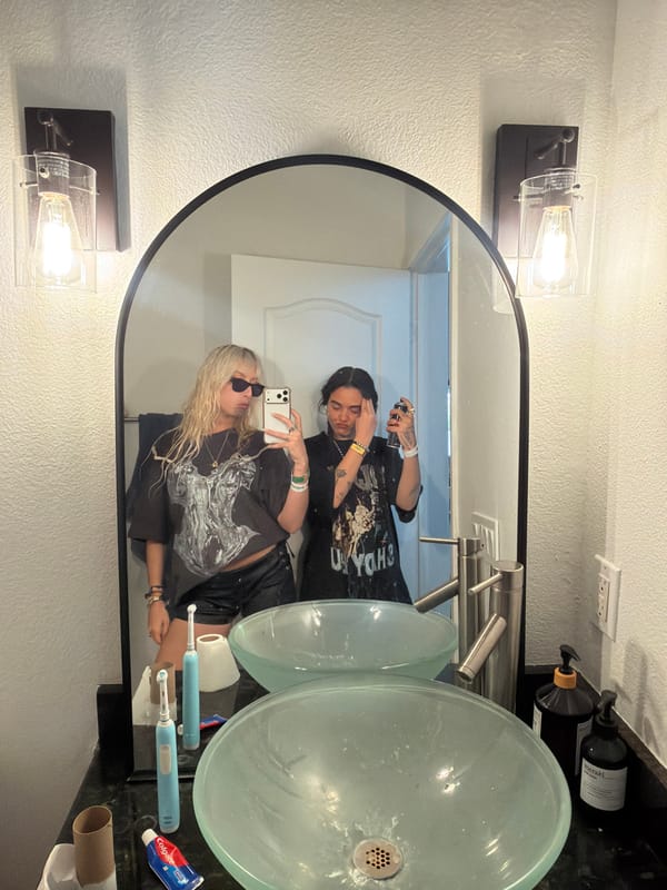Two people take bathroom mirror selfies in Palm Desert