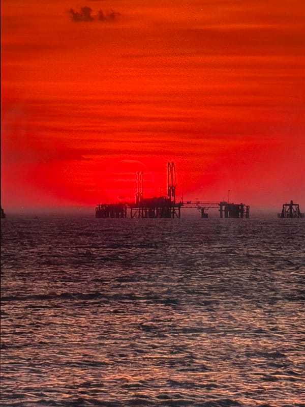 Riverhead evening skies, sunset over the ocean, and backyard details