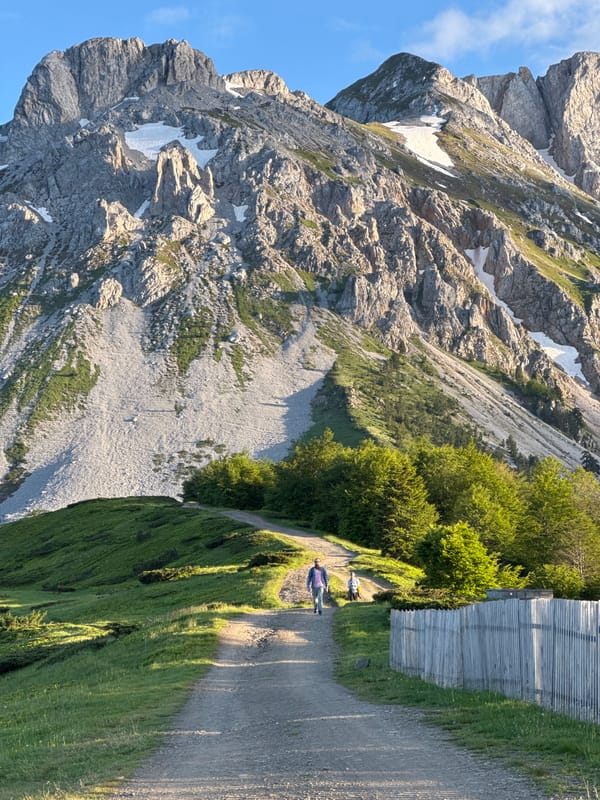 Mountain hiking and wildflower picking in Montenegro's Prokletije National Park