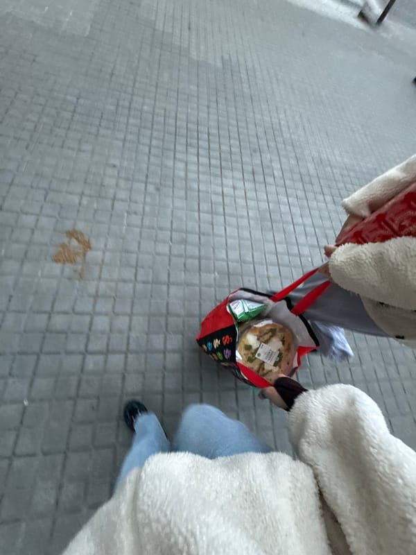 Cozy home interiors with cat captured in Barcelona