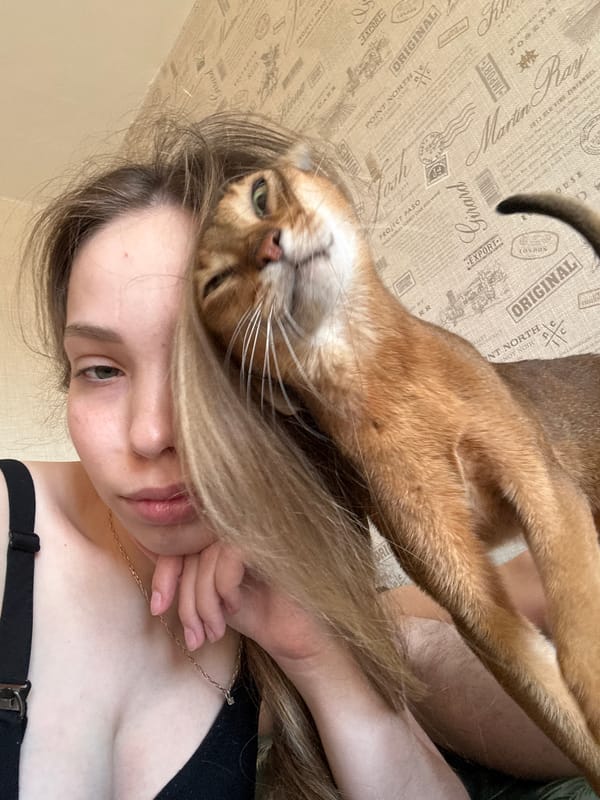 Woman bonds with Abyssinian cat in early morning photos