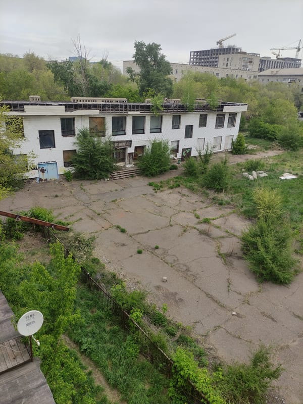 Cats and urban decay documented in Pavlodar, Kazakhstan