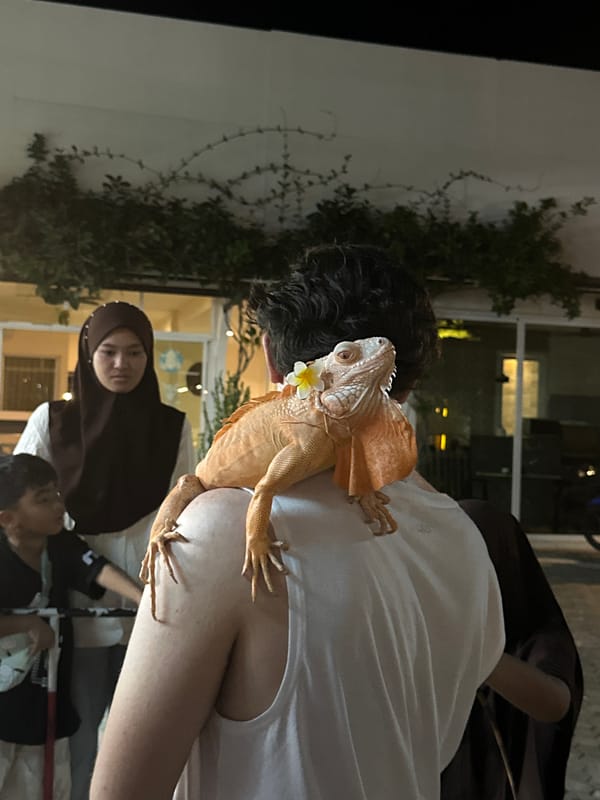 Bustling nighttime street scenes documented in Patong Beach entertainment district