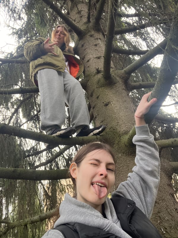 Young women climb trees in Saint Petersburg forest, one holds cat