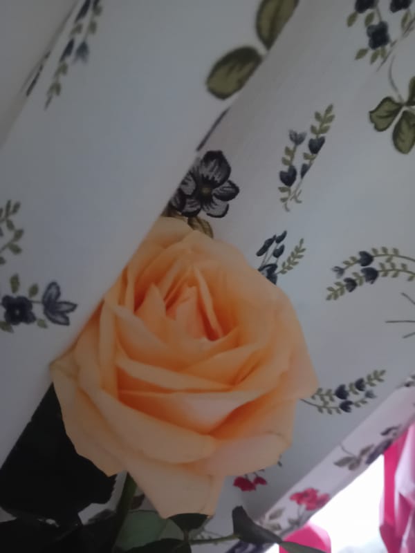 Summer celebration at home in Chuhuiv, cake and flowers