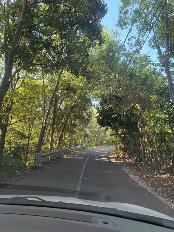 Vehicle travels tree-lined rural road in Ungasan, Indonesia
