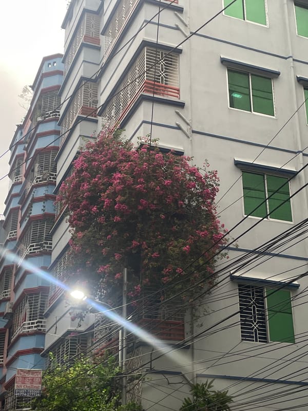 Witness documents ordinary street life across Dhaka neighborhoods