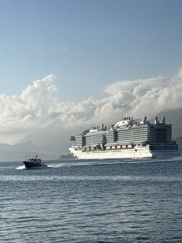 Sun Princess cruise ship sails past Bar, Montenegro coast