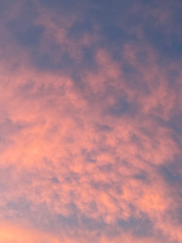 Podgorica sunset, multiple angles, plus a fruit smoothie in progress