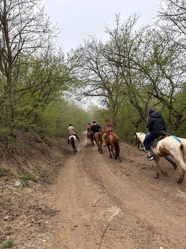 Horseback riders traverse wooded trail near Haghartsin, Armenia