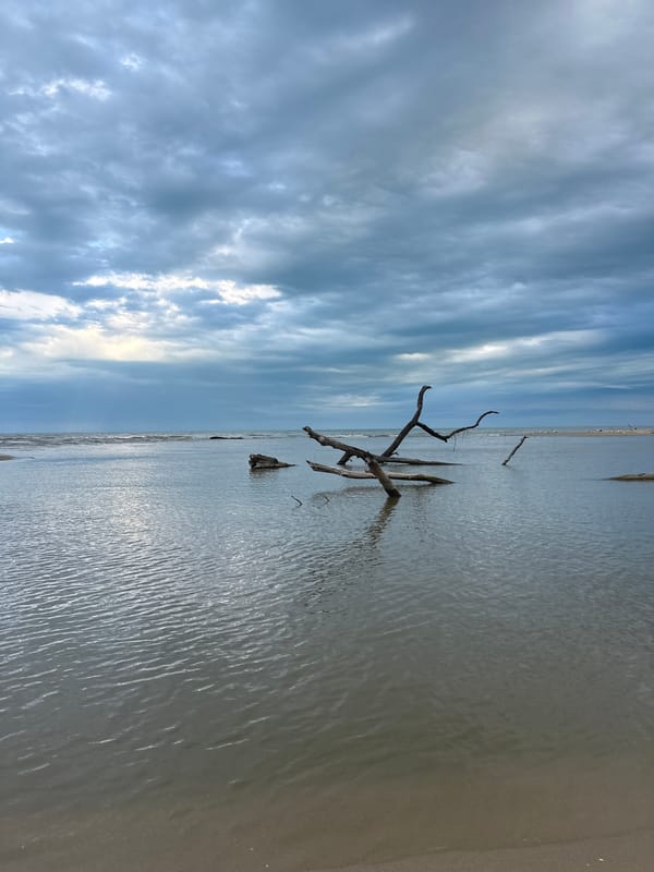 Beach documentation session captured in Bliznatsi, Bulgaria coastal area
