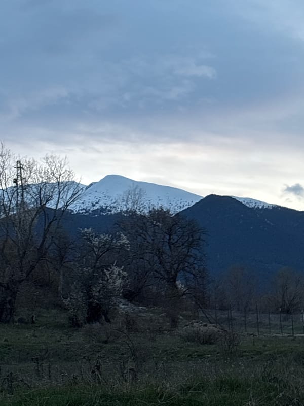 Spring afternoon with dog documented in Bansko, Bulgaria