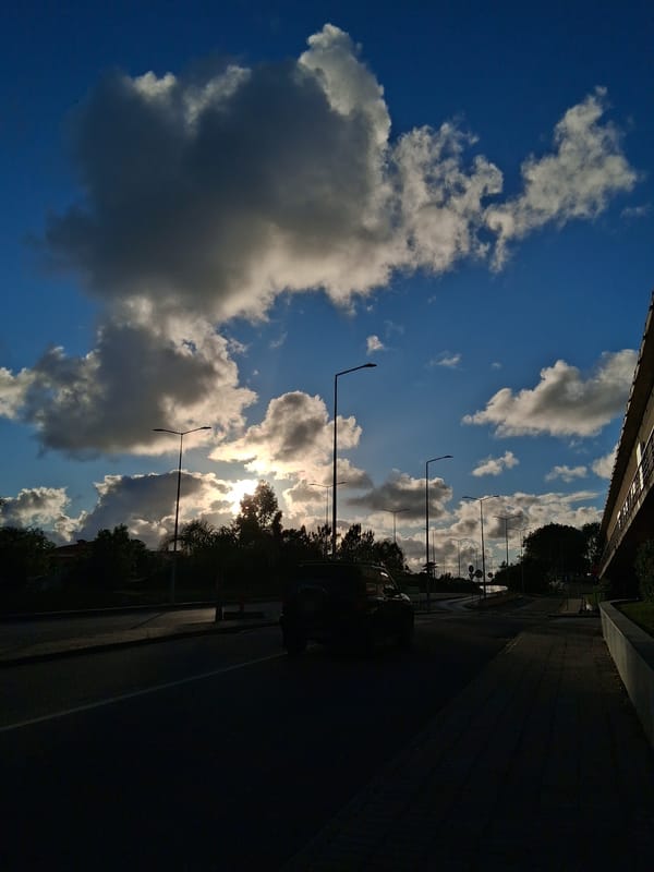 Sunny afternoon street scene captured in Figueira da Foz