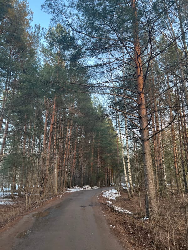 Woman documents gym visit and forest scenes in Chaikovsky
