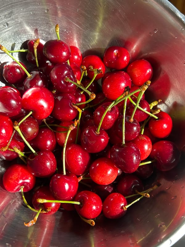 Everyday moments captured: wet cherries and cloudy skies