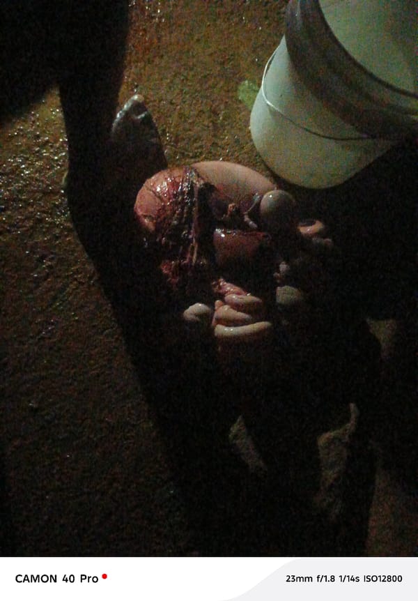 Animal organs found on ground in Jos, Nigeria