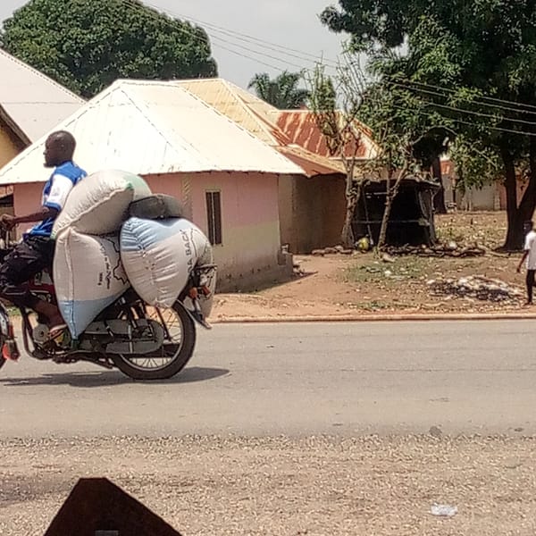 Motorcyclist transports large sacks through rural area