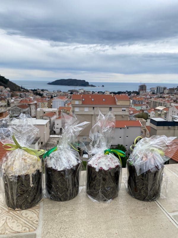 Morning observations capture Budva's urban coastline and natural flora