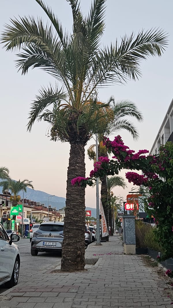 Fethiye streets and shoreline on a summer afternoon