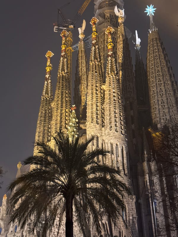 Nighttime views capture illuminated Sagrada Familia in Barcelona