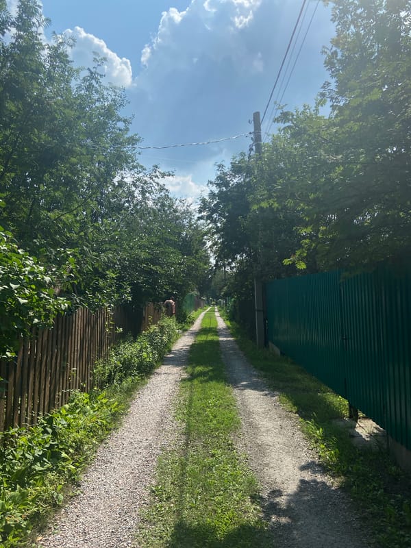 Rural paths, fences, and wildflowers on a sunny day