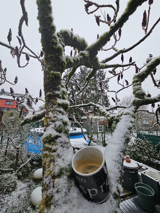Fresh snow blankets residential Esch-sur-Alzette amid winter weather