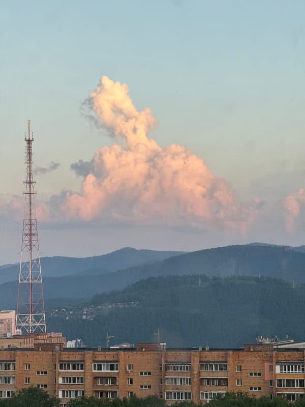 Sphynx cat and city views from Krasnoyarsk apartment