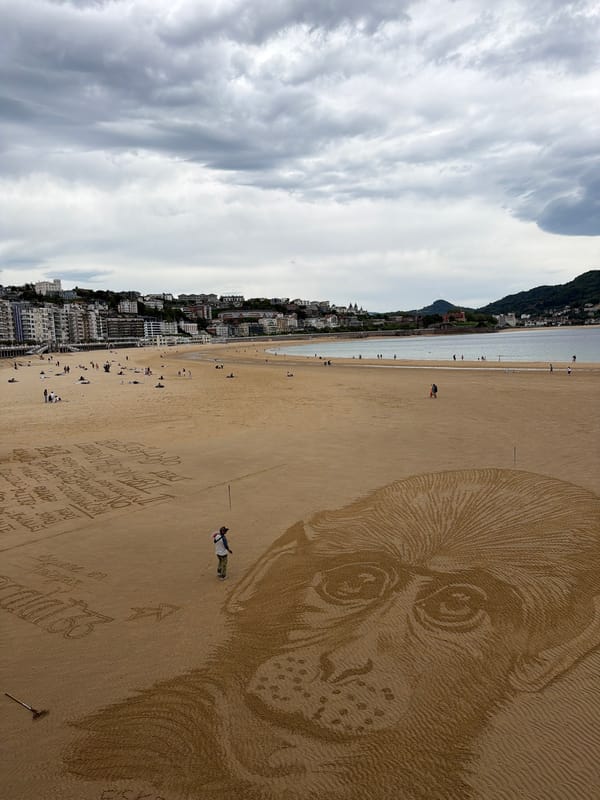 Artist creates large animal sand art on San Sebastián beach