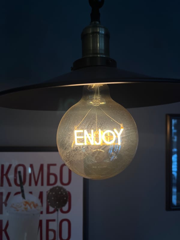 Decorative 'ENJOY' filament bulb spotted in Krasnoyarsk home