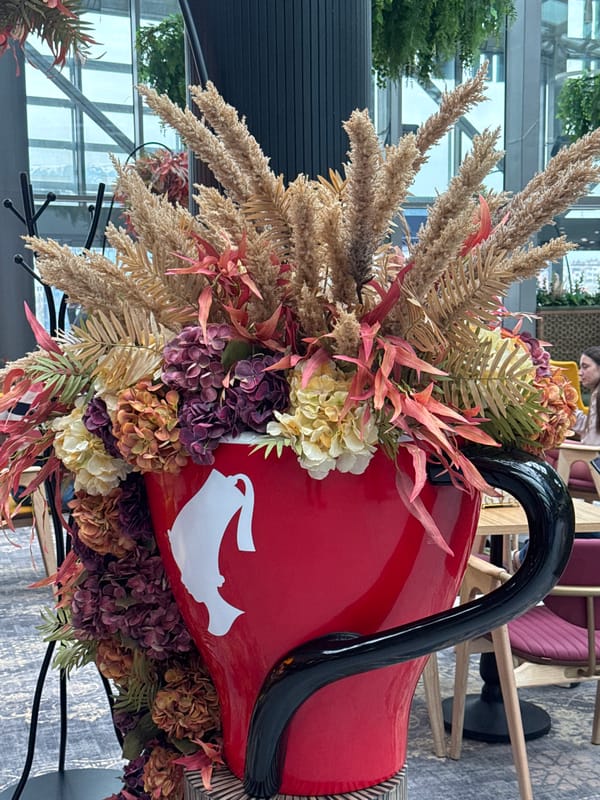 Oversized decorative teacup with dried flowers spotted in Sofia