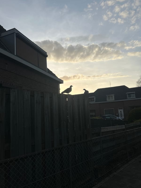 Sunset captured in urban Brunssum, Netherlands