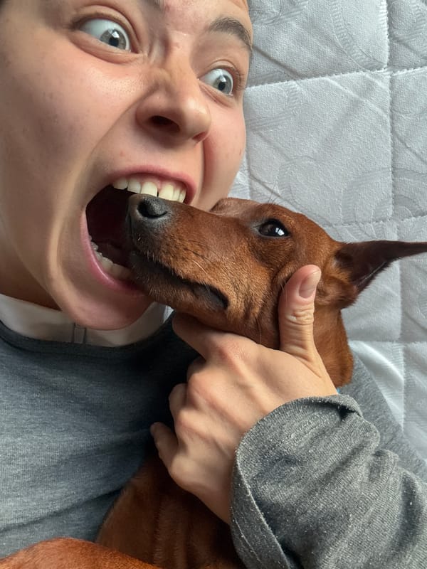 Brown dog spotted playing in two St. Petersburg suburbs
