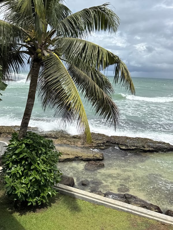 Stormy morning on Sri Lanka's south coast, resort and shoreline