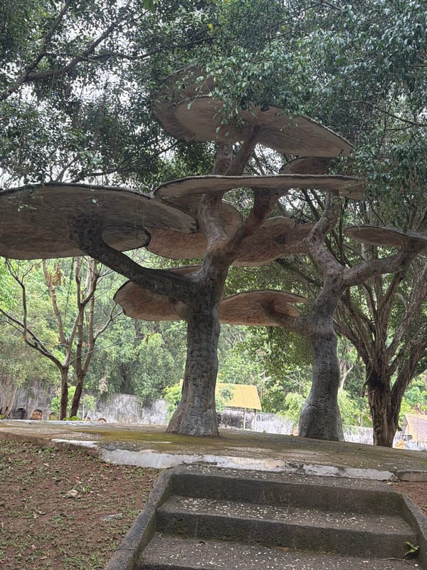Tourist visits animal park and art installations in Khánh Vĩnh