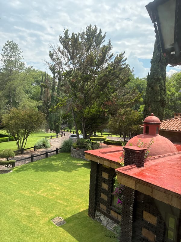 Evening scenes documented in Cañada de Madero, Mexico