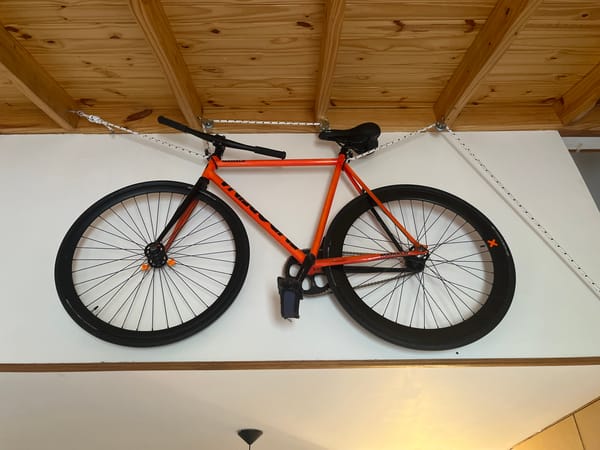 Indoor scenes captured in Ushuaia: suspended bike, cat interaction