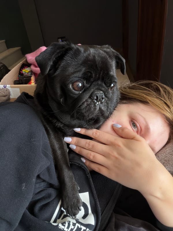 Woman poses with black pug in Razlog, Bulgaria