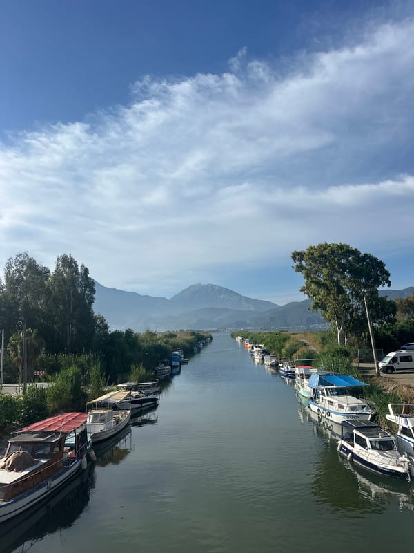 Morning waterfront scenes documented across Fethiye's boat-lined canals