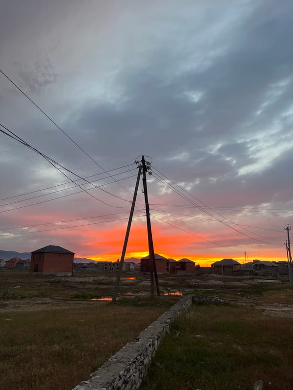Dramatic sunset and hedgehog sighting documented in Kaspiysk, Russia