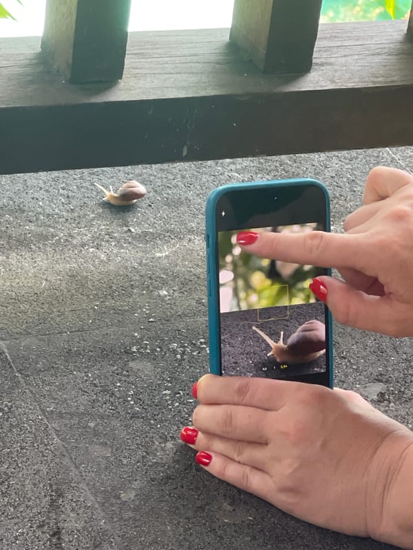 Snail photography and construction work witnessed at same location