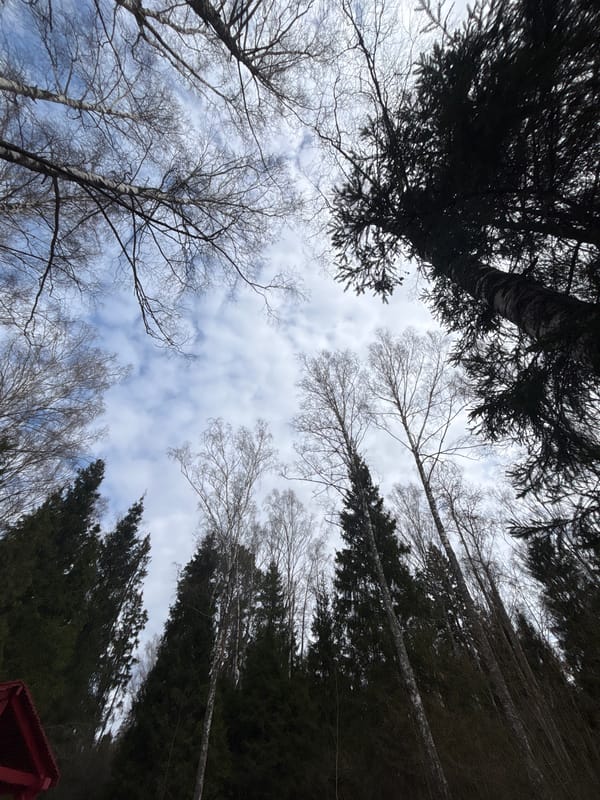 Spring morning scenes captured in rural Russia near Rusino
