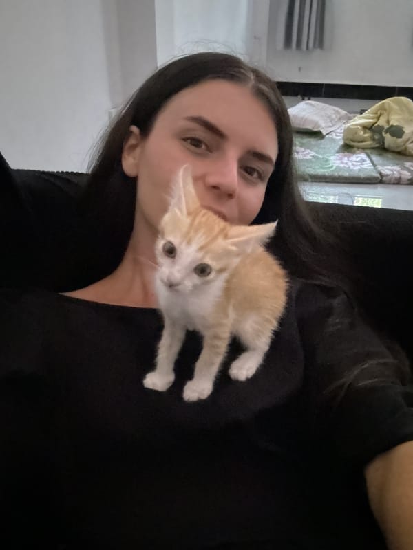 Woman poses with kitten in morning photo session
