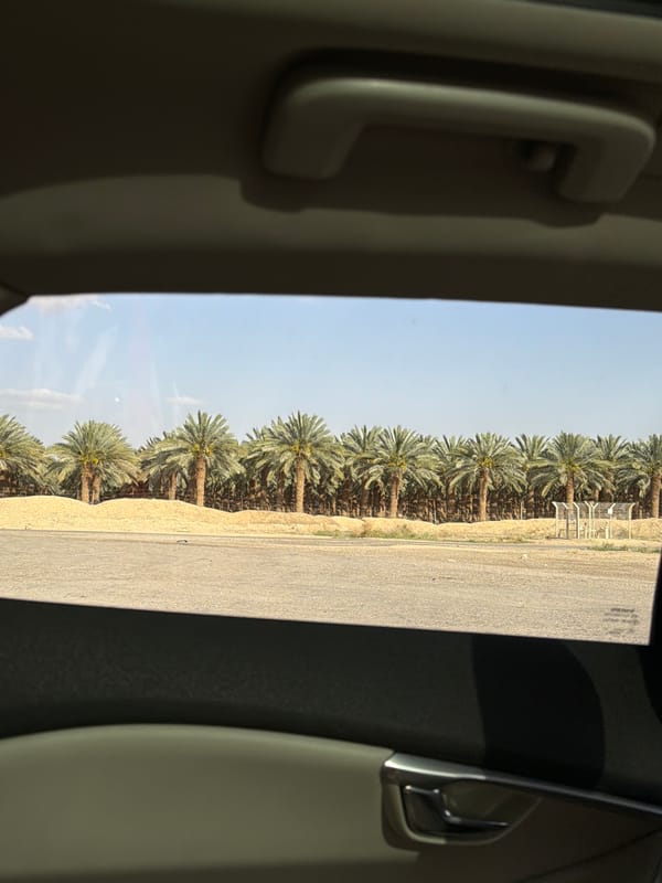 Passenger view captured from vehicle in southern Israel