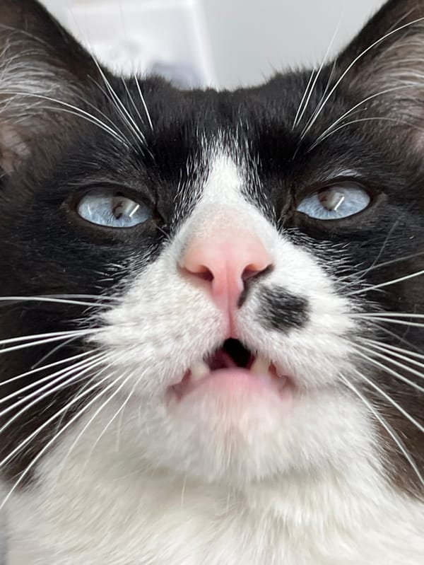 Mother documents morning routine with child in Russian home