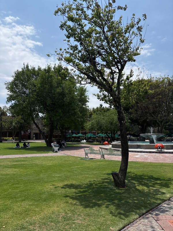 Afternoon cafe scenes documented in San Andrés Cholula, Mexico