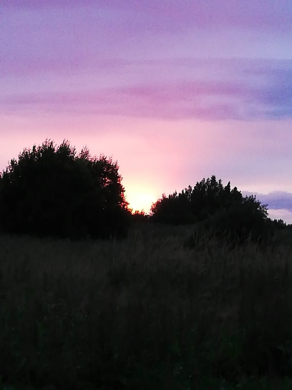 Belarusian countryside at dusk: garden blooms and a painted sky