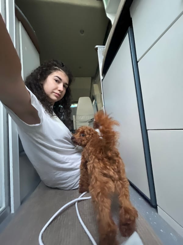 Woman and dog share quiet camping moments in Bulgaria