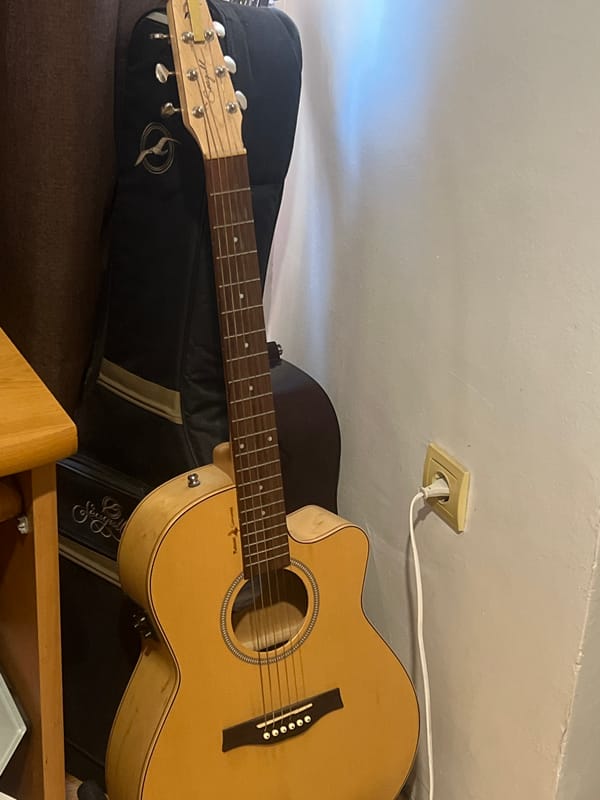 Indoor afternoon with cat, guitar, and gentle petting in Plovdiv