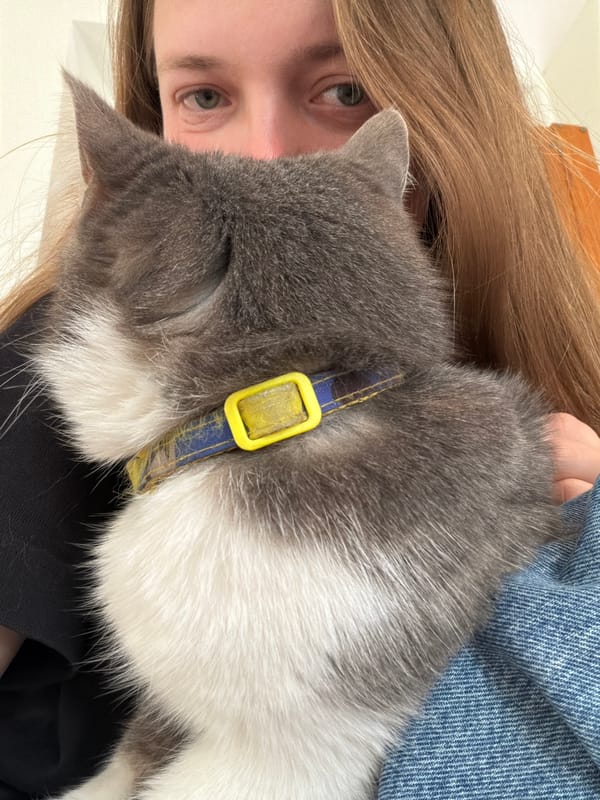 Person photographed with gray cat in Erba, Italy