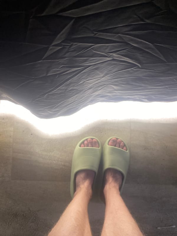Indoor still life: green slides and a couple of small cacti